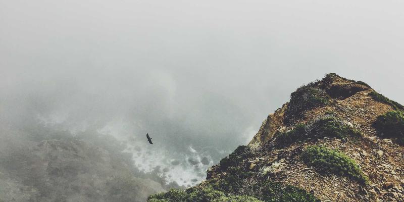 IIASOL27深度解析:如何通过数字营销策略有效提升网站排名