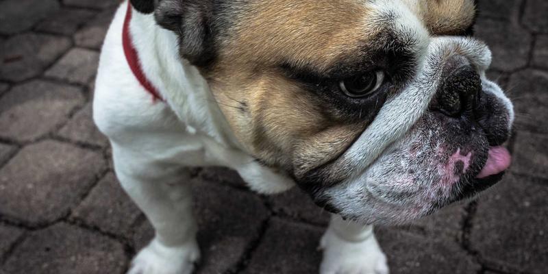 IIASOL28深度解析：网络营销与搜索引擎优化的协同策略，如何有效提升网站排名