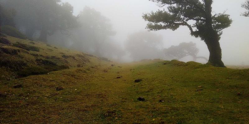 IIASOL84:揭秘新一代网站排名与网络营销的融合之道