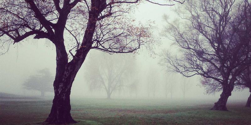 IIASOL国际汉语教师必读：如何通过SEO优化与内容营销，打造高转化率教学网站