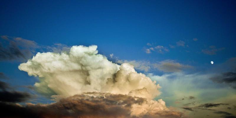 IIASOL持证教师如何通过数字营销技能开拓海外高薪就业渠道