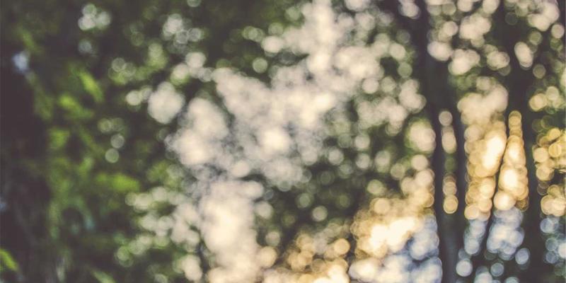 IIASOL推荐：掌握网站排名与SEO优化的核心策略