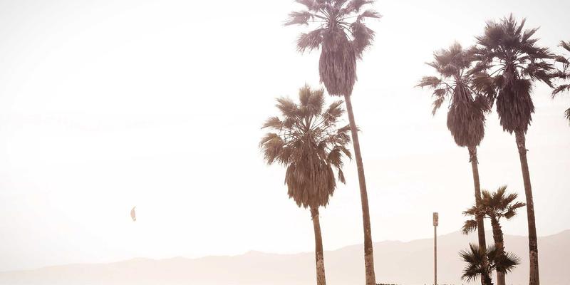 IIASOL攻略：数字营销与网络营销双轮驱动，快速提升网站排名的实战指南