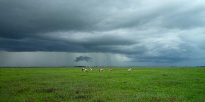 IIASOL教学法：解锁儿童线上汉语课堂高效管理的SEO优化与数字营销新思路