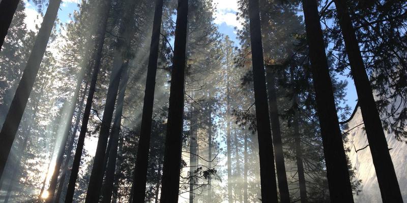 IIASOL教师如何运用数字营销策略：社交媒体赋能教学展示与高效招生