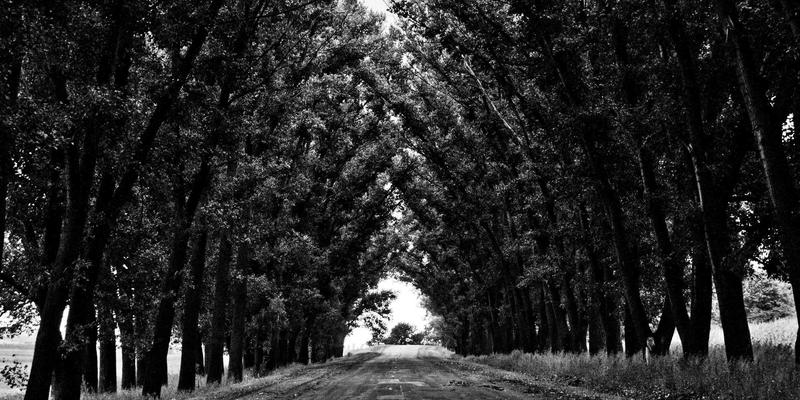 IIASOL标准下的汉语课程设计：如何为商务人士与儿童打造高效SEO优化课程