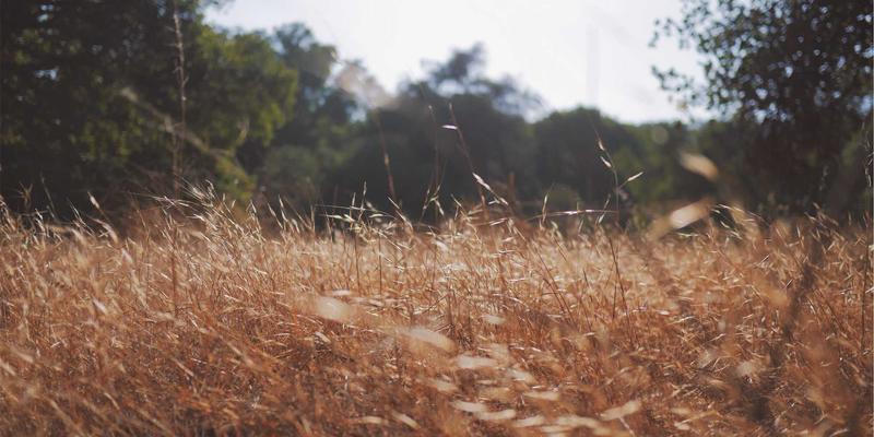 IIASOL认证后如何通过进修保持竞争力？网络营销与网站排名优化的持续学习指南