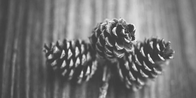 如何利用IIASOL的专业性撰写吸引人的汉语教学服务提案与合同范本：兼顾SEO优化与网络营销的策略