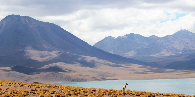 如何通过SEO优化提升网站排名：基于IIASOL框架的中文水平诊断工具推广实战指南